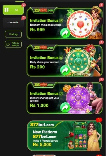 ZS999