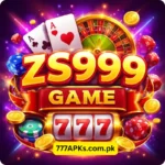 ZS999