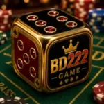 bd222 game