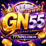 GN55 game