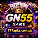 GN55 Game