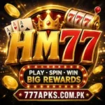 HM77 Game