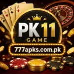 PK11 Game