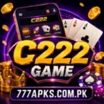 C222 Game