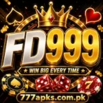 FD999 Game